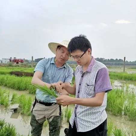 熊老师和员工进行田间考察